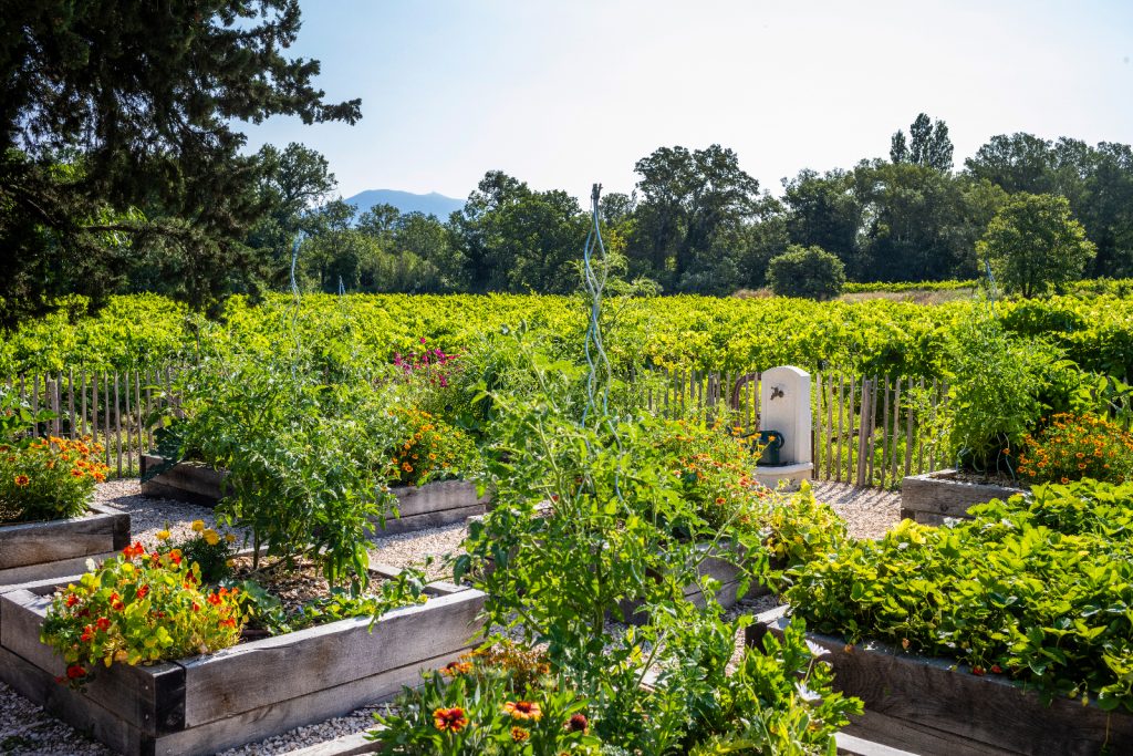 Domaine Le Vallon | Chambres d'hôtes de luxe en Provence